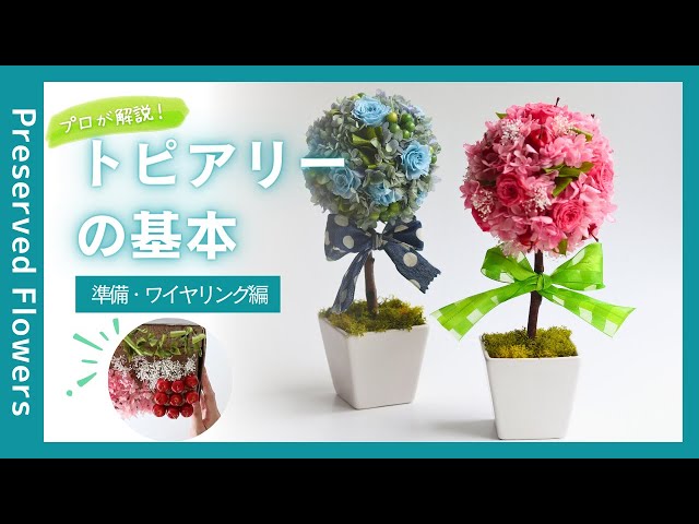 準備のポイント！】トピアリーの基本の作り方・準備ワイヤリング編