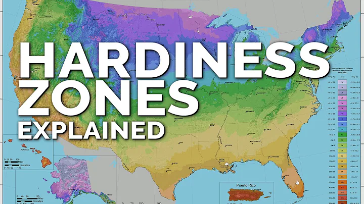 Beyond Plant Hardiness Zones: Unlock the Secrets to Successful Gardening