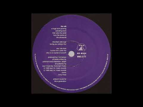 The Orb - A Huge Ever Growing  (Bucket And Spade Mix
