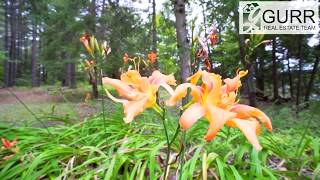 Farren Lake Lane 31A For Sale