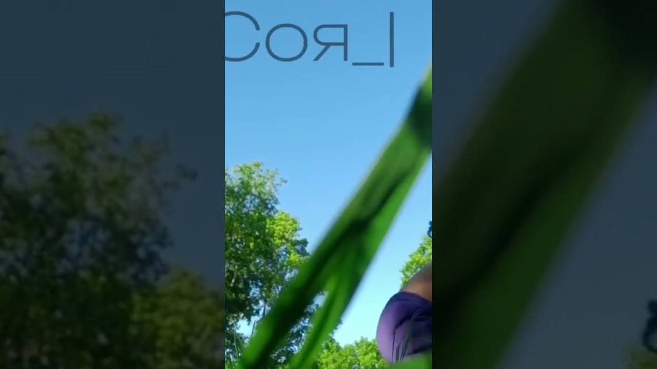 ну блин...не вместимость ☹Переходите в мой тгк 🍁Нора Сои🌿 