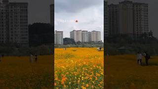 기흥호수 영상