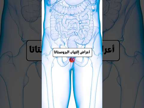 البروستات البروستاتا شفا اكسبلور معلومات صحية ترند  صحة 9 7