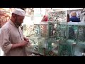 اكبر سوق في العراق لبيع اسماك الزينة