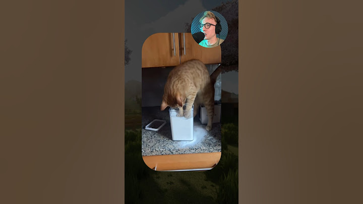 ВИРУСНЫЕ ВИДЕО / Кот делает блины 😅