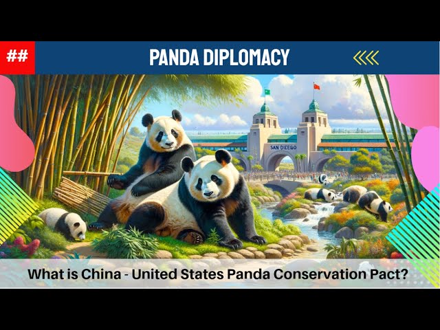 Panda Diplomacy - What is China - United States Panda Conservation Pact? class=