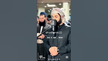 Raad Al kurdi Whatsapp status 2023 / رعد الكردي حالات واتس اب / سورة الاعلى رعد بن محمد الكردي
