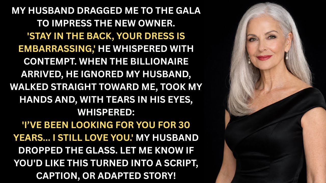 Revenge Stories: My husband hid me at the gala. The CEO found me and said, “I’ve been looking for..