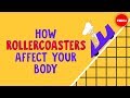 How rollercoasters affect your body - Brian D. Avery