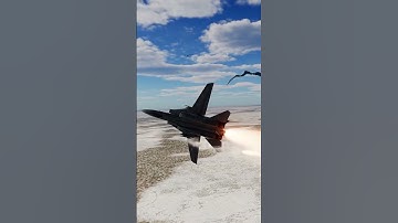 Death Match F-14 Tomcat Vs F-18 Hornet