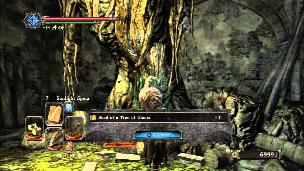 DARK SOULS 2 Seed Of A Tree Of Giants Farming (Read Description ...