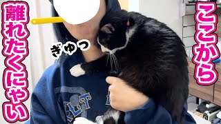 少しの抱っこじゃ満足できなくなってしまった甘えん坊猫がかわいすぎる