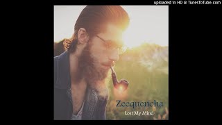 Zeequencha  - Lost My Mind