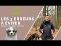 Les 3 erreurs  viter dans lducation dun chiot 