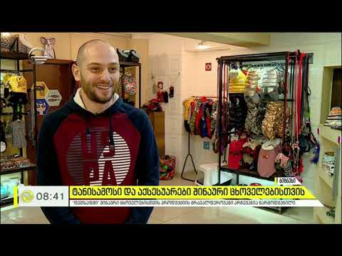 ტანისამოსი და აქსესუარები შინაური ცხოველებისთვის