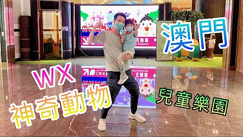 澳門WX神奇森林動物互動展 | 澳門兒童遊樂場 | 氹仔羅斯福酒店兒童樂園 | 澳門親子游氹仔遊樂園 | 12SUN | EP92 - 天天要聞