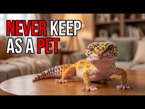 10 Wild Animals You Should Never Keep As Pets
