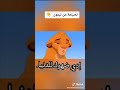 نصيحة من تيمون!! كتاب الحياة