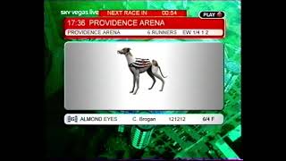 Random greyhound race from Sky Vegas Live