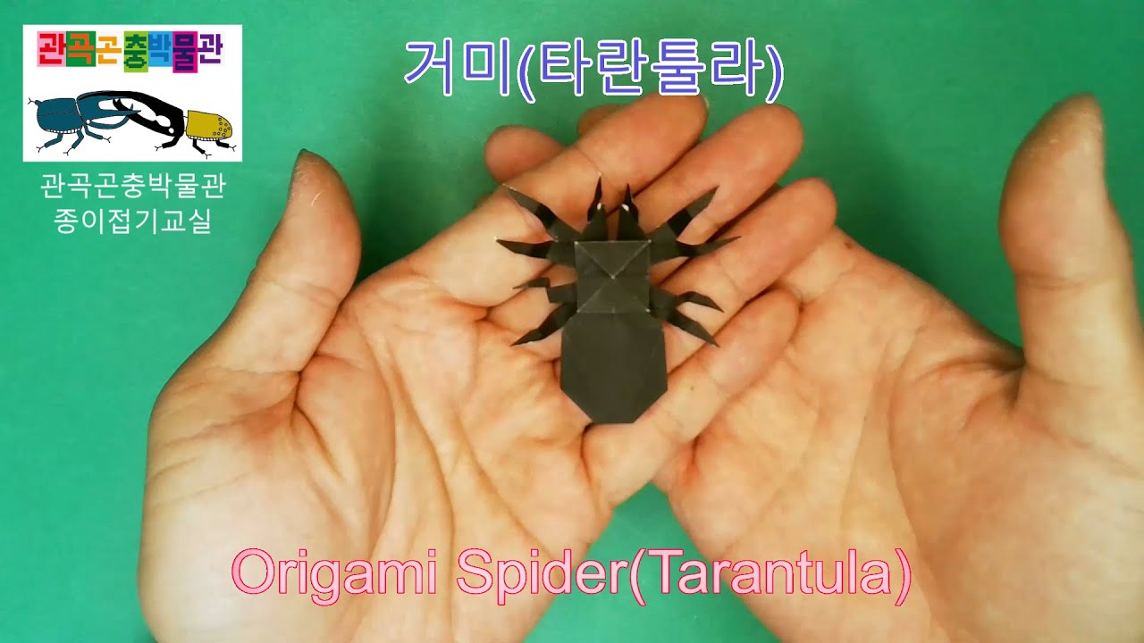 거미(타란툴라) 접기 How to fold origami Spider(Tarantula)
