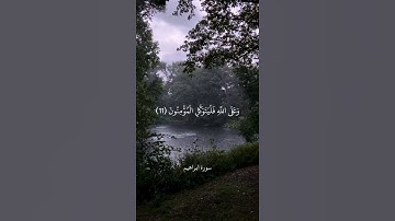 وَمَا كَانَ لَنَا أَن نَّأْتِيَكُم بِسُلْطَانٍ إِلَّا بِإِذْنِ اللَّه || سورة ابراهيم || علي جابر