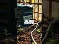 Roots to Radiance: Practical Garden Makeovers for Every Space