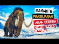 Ini sih Diluar Nalar : Mammoth Prasejarah ini akan Dihidupkan Lagi?