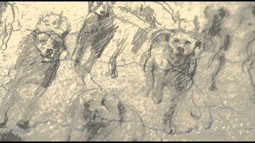 Image to be projected until it vanishes (estratto dal videoFocus sulla mostra)