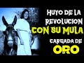 LA MULA CAYÓ AL DESPEÑADERO, AÑOS DESPUES ENCUENTRAN SUS HUESOS CON MONEDAS DE ORO Y PLATA