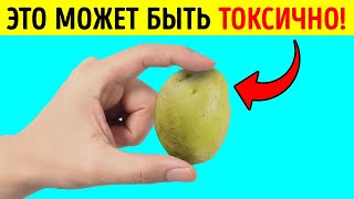 Можно ли есть зеленый картофель? Да, но с оговоркой