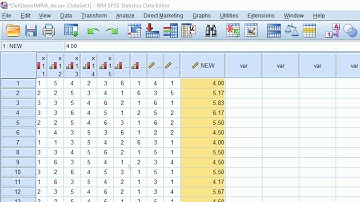 SPSS Syntax function