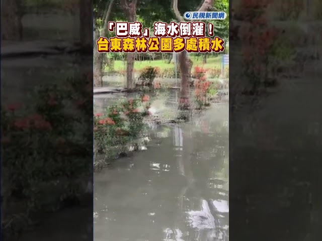 快新聞／「巴威」海水倒灌！台東森林公園多處積水　縣府急封閉綠水橋