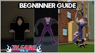 The COMPLETE GUIDE to Soul Saga!  (HOLLOWS AND SOUL REAPERS) | Soul Saga