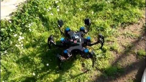 Phoenix Hexapod Robot