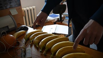 Happy Birthday Song - Arduino Makey Makey Banana Piano