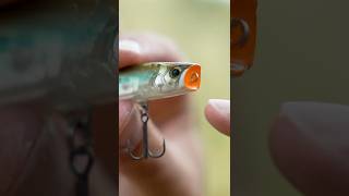 High-End Topwater: Bantam Ligen 66F im Detail
