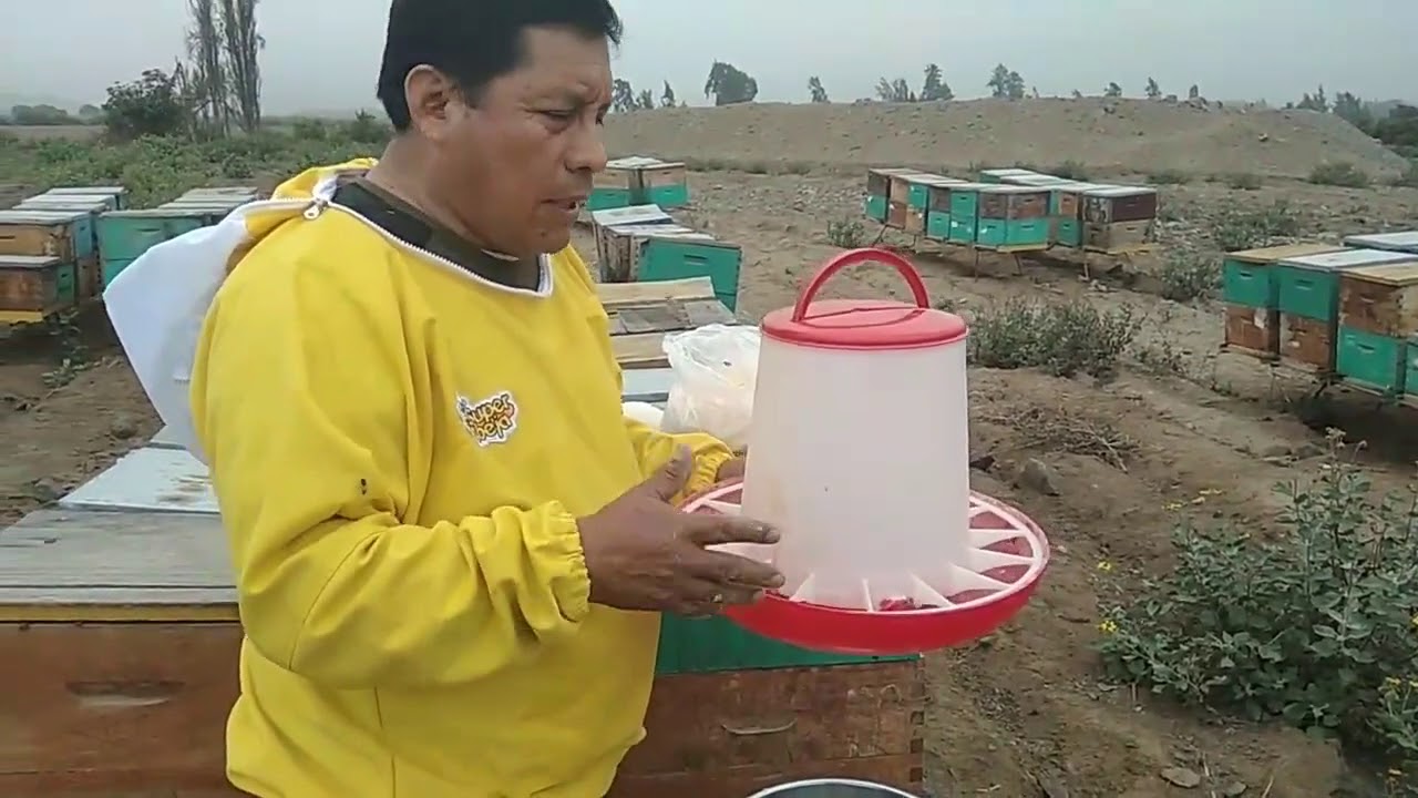 Excelente metodo de alimentar con sustitutos proteicos a las abejas