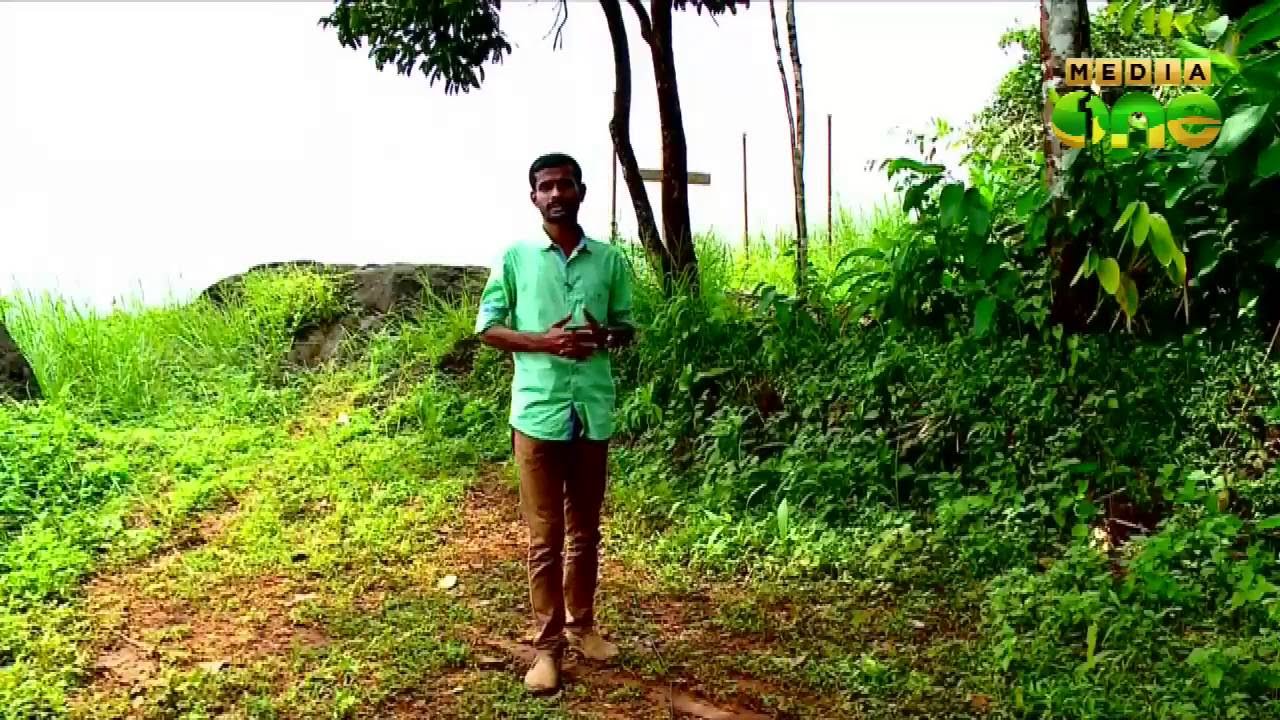 Countryside | Nambikulam, Katullamala 02-10-2016