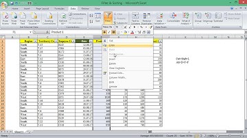 How to use Excel Filter on Text Number Date - Filter by Color AutoFilter Shortcuts