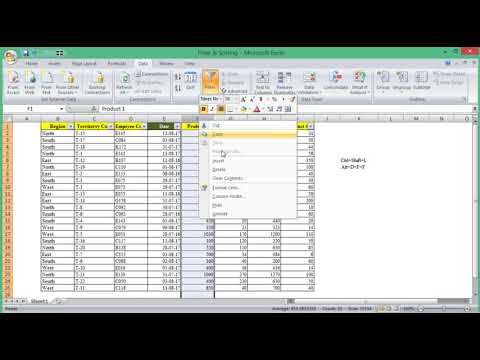 How to use Excel Filter on Text Number Date - Filter by Color AutoFilter Shortcuts