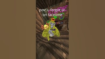 POV: you forgot ur on facetime #gorillatag #gorillatagquest #funnyboxing #vr #trolllife #gtag #funny