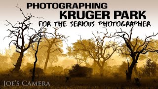 Wildlife photography in Kruger National Park - How to take the winnings shots