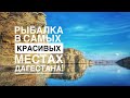 РЫБАЛКА В ДАГЕСТАНЕ! САМЫЕ КРАСИВЫЕ МЕСТА!