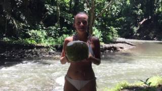 Bali Vlog Best Coconut Ever