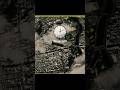 💥 30 Seconds to Survive a Nuclear Explosion | Nuclear Survival Tips#NuclearSurvival #FatcNow