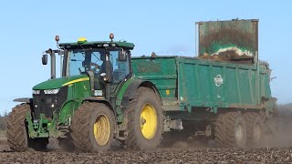 John Deere 7290R in the field spreading solid manure w/ TEBBE Muck Spreader | Danish Agriculture