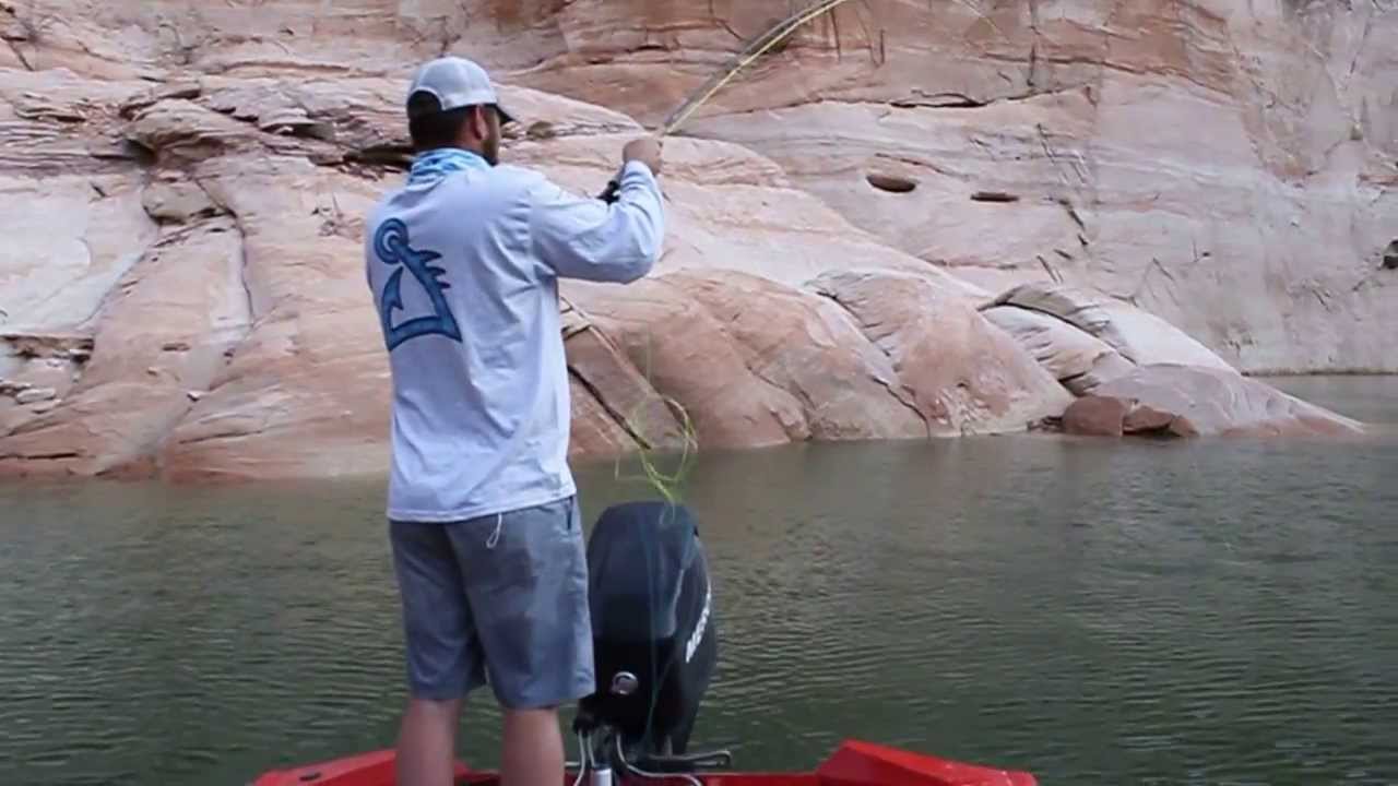 Fly Fishing Lake Powell YouTube