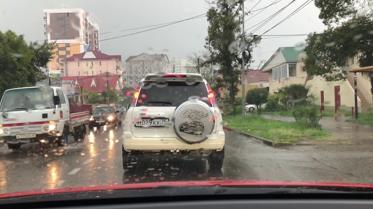 Вирбак авто адлер гастелло