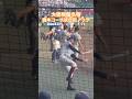 “大阪桐蔭名物”『橋本コーチ』 #高校野球 #甲子園 #シートノック #大阪桐蔭