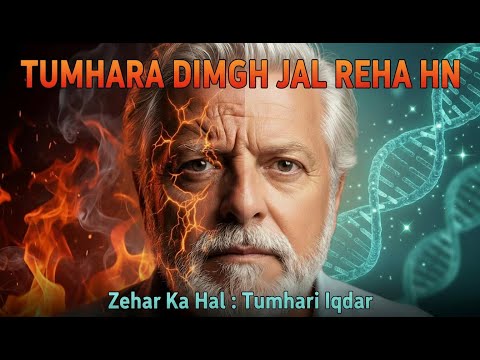 سکون کا انزائم: اپنی اقدار سے DNA ٹھیک کریں (سوزش کے خلاف)